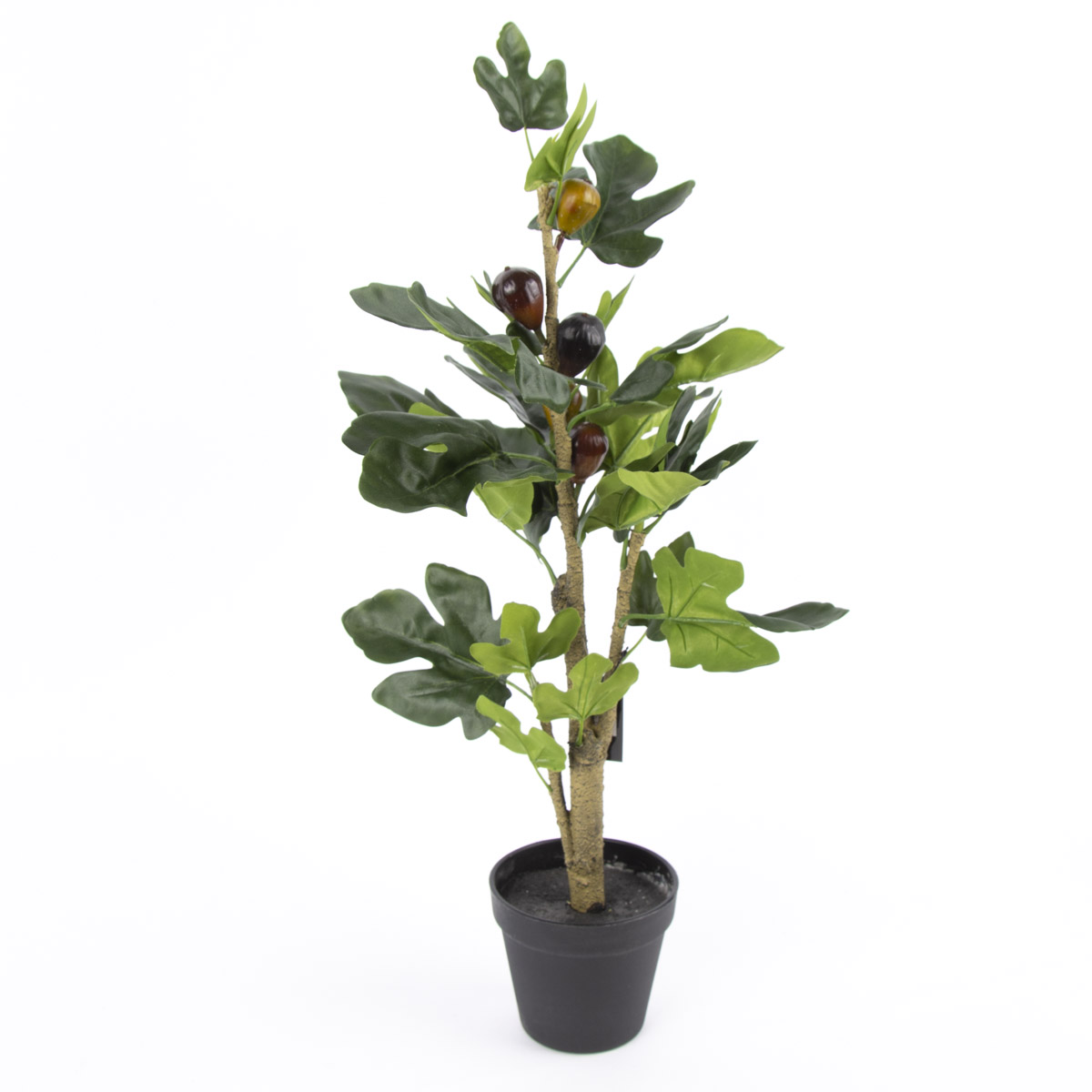 Kunstpflanze im Topf Feige grn 60cm | MEINE-GARDINEN.de - der  Gardinen-Spezialshop von SCHNER LEBEN.